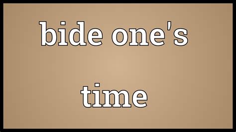 to bide one's time|Definition of 'bide one's time' .